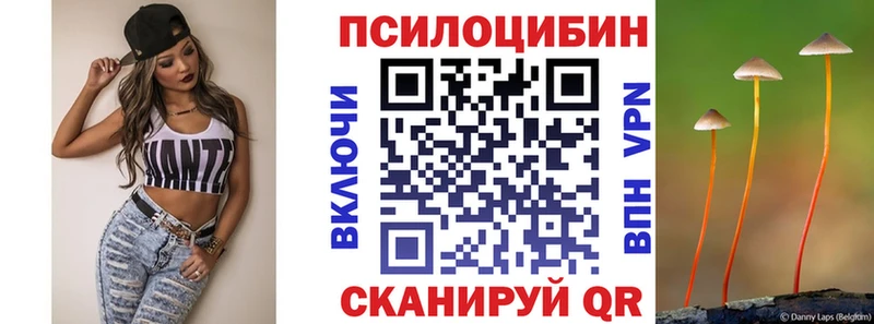 Псилоцибиновые грибы Psilocybine cubensis  OMG как зайти  Давлеканово 